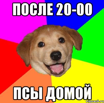 ПОСЛЕ 20-00 ПСЫ ДОМОЙ, Мем Advice Dog