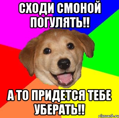 Сходи смоной погулять!! А то придется тебе уберать!!, Мем Advice Dog