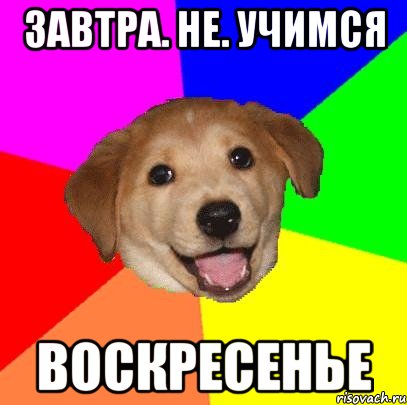 Завтра. Не. Учимся Воскресенье, Мем Advice Dog