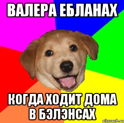 Валера Ебланах Когда ходит дома в бэлэнсах, Мем Advice Dog