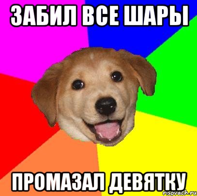 забил все шары промазал девятку, Мем Advice Dog