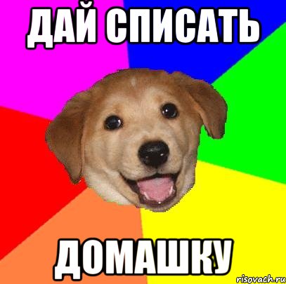 дай списать домашку, Мем Advice Dog