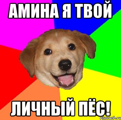 Амина я твой Личный пёс!, Мем Advice Dog