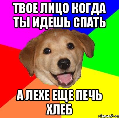 твое лицо когда ты идешь спать а лехе еще печь хлеб, Мем Advice Dog