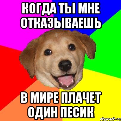 Когда ты мне отказываешь В мире плачет один песик, Мем Advice Dog