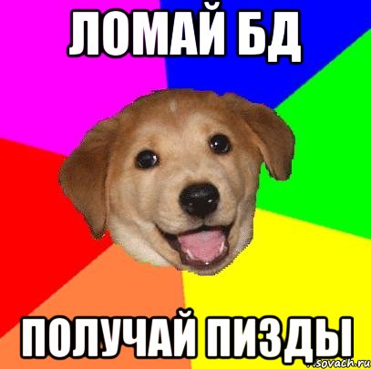 Ломай БД Получай пизды, Мем Advice Dog