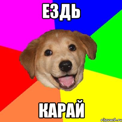 ЕЗДЬ КАРАЙ, Мем Advice Dog