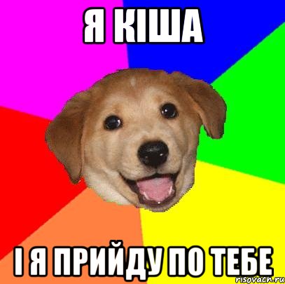 я кіша і я прийду по тебе, Мем Advice Dog