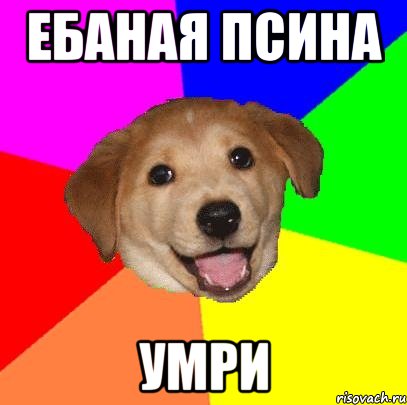 ЕБАНАЯ ПСИНА УМРИ, Мем Advice Dog