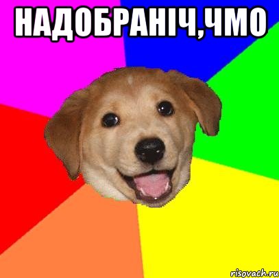 надобраніч,чмо , Мем Advice Dog