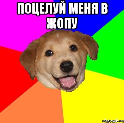 поцелуй меня в жопу , Мем Advice Dog