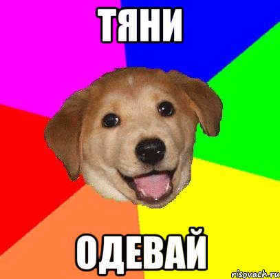 ТЯНИ ОДЕВАЙ, Мем Advice Dog