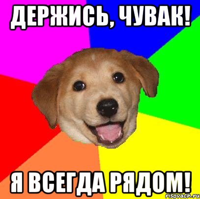 ДЕРЖИСЬ, ЧУВАК! Я ВСЕГДА РЯДОМ!, Мем Advice Dog