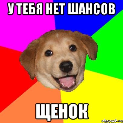 у тебя нет шансов щенок, Мем Advice Dog