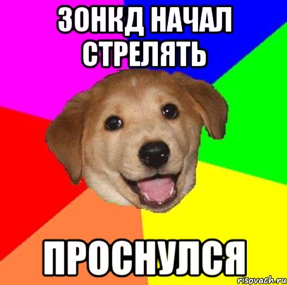 ЗОНКД НАЧАЛ СТРЕЛЯТЬ ПРОСНУЛСЯ, Мем Advice Dog