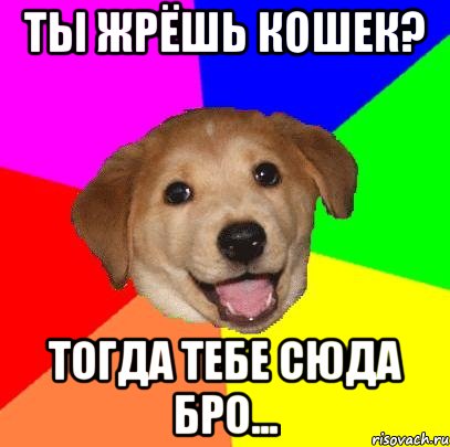 Ты жрёшь кошек? ТОГДА ТЕБЕ СЮДА БРО..., Мем Advice Dog