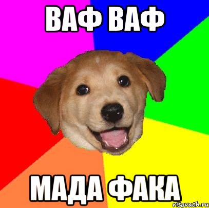 Ваф ваф Мада фака, Мем Advice Dog