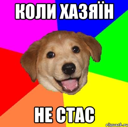 коли хазяїн не стас, Мем Advice Dog