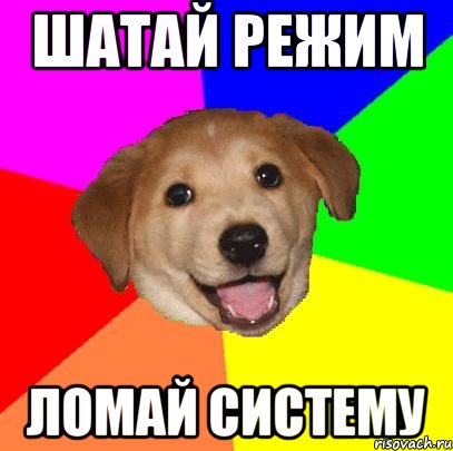 шатай режим ломай систему, Мем Advice Dog