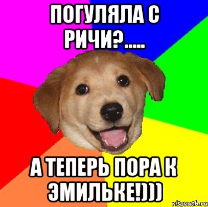 Погуляла с Ричи?..... А теперь пора к Эмильке!))), Мем Advice Dog