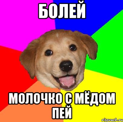 болей молочко с мёдом пей, Мем Advice Dog