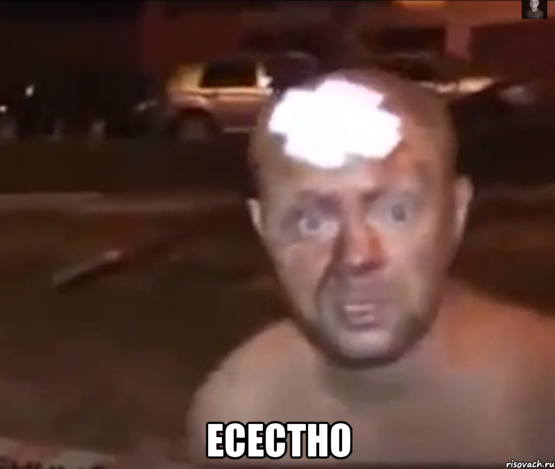  Есестно