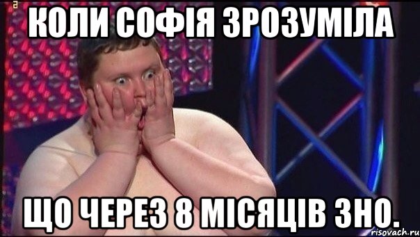 коли софія зрозуміла що через 8 місяців зно.