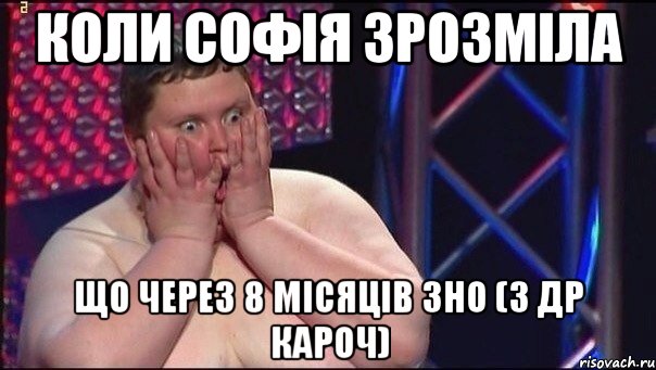 коли софія зрозміла що через 8 місяців зно (з др кароч)