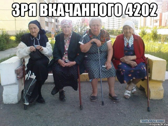 зря вкачанного 4202 , Мем Бабки на скамейке