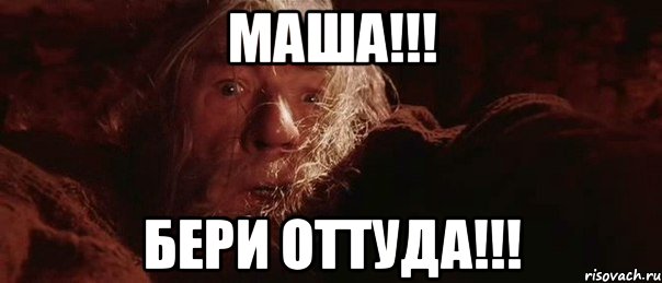 Маша!!! Бери оттуда!!!, Мем бегите глупцы