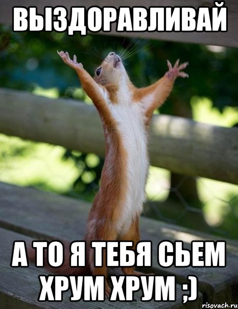 Выздоравливай А то я тебя сьем хрум хрум ;), Мем    белка молится