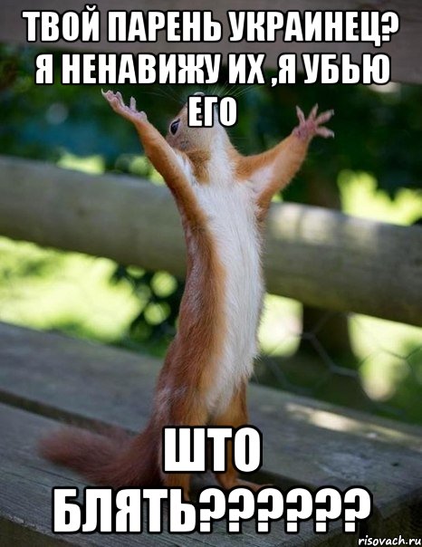 Твой парень Украинец? Я ненавижу их ,я убью его Што блять??????, Мем    белка молится