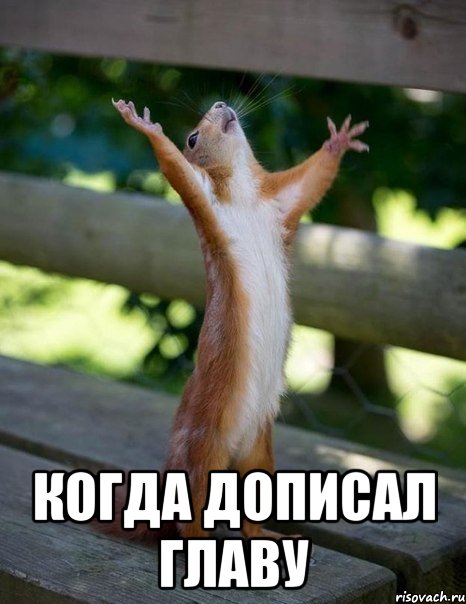  Когда дописал главу, Мем    белка молится
