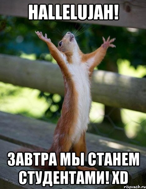 Hallelujah! Завтра мы станем студентами! XD, Мем    белка молится