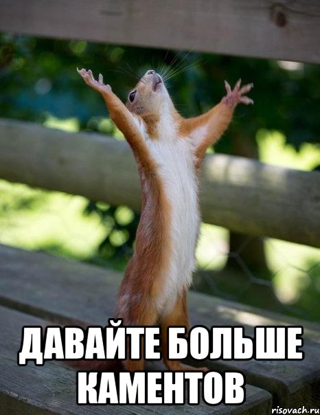 давайте больше каментов, Мем    белка молится