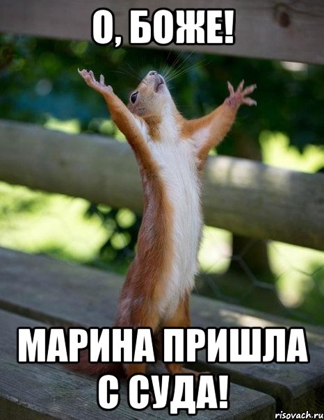 О, Боже! Марина пришла с суда!, Мем    белка молится