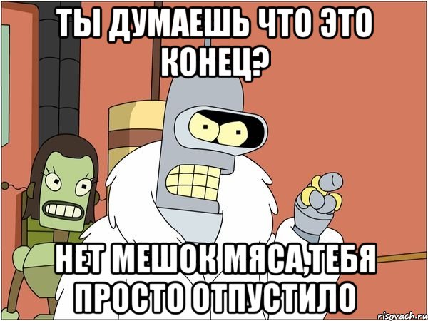 Ты думаешь что это конец? Нет мешок мяса,тебя просто отпустило, Мем Бендер