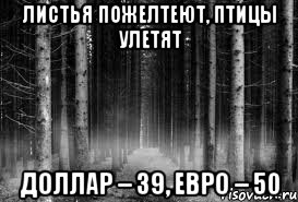 Листья пожелтеют, Птицы улетят Доллар – 39, Евро – 50, Мем безысходность