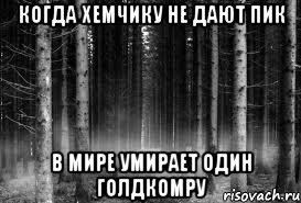 Когда хемчику не дают пик В мире умирает один голдкомру