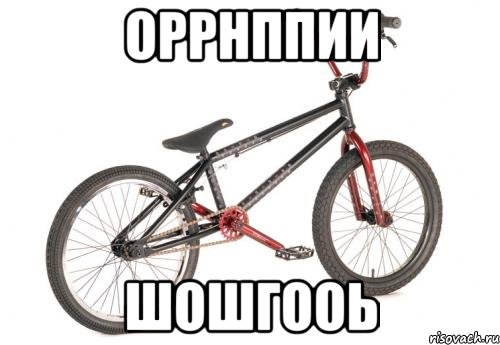 оррнппии шошгооь