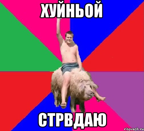 Хуйньой Стрвдаю