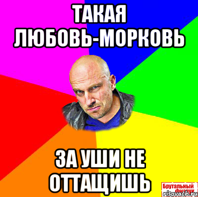 Такая любовь-морковь За уши не оттащишь