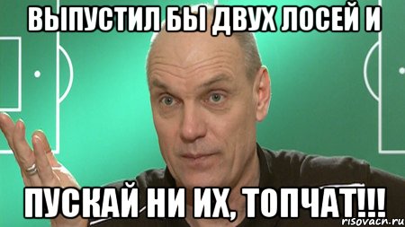 выпустил бы двух лосей и пускай ни их, топчат!!!