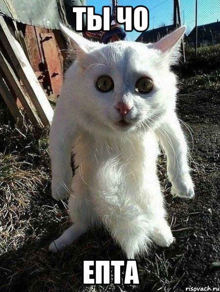 ТЫ ЧО ЕПТА