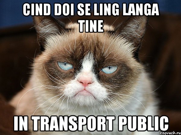 cind doi se ling langa tine in transport public, Мем  cat