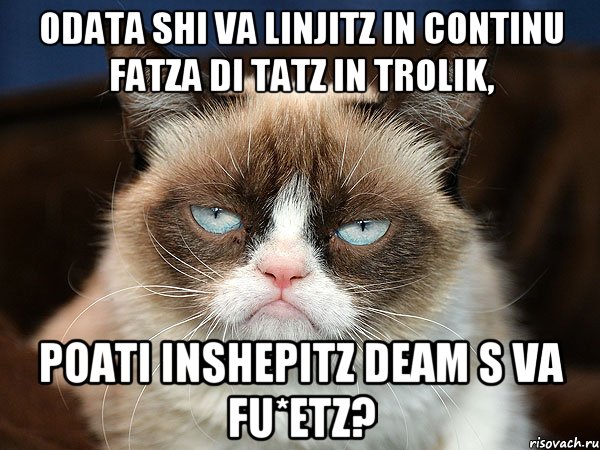 odata shi va linjitz in continu fatza di tatz in trolik, poati inshepitz deam s va fu*etz?, Мем  cat