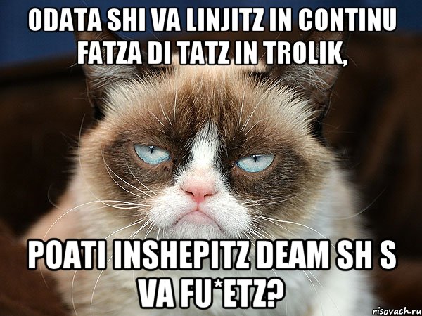 odata shi va linjitz in continu fatza di tatz in trolik, poati inshepitz deam sh s va fu*etz?, Мем  cat