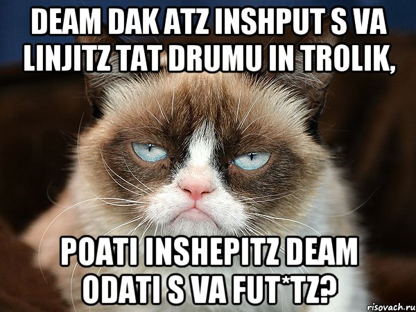 Deam dak atz inshput s va linjitz tat drumu in trolik, poati inshepitz deam odati s va fut*tz?, Мем  cat