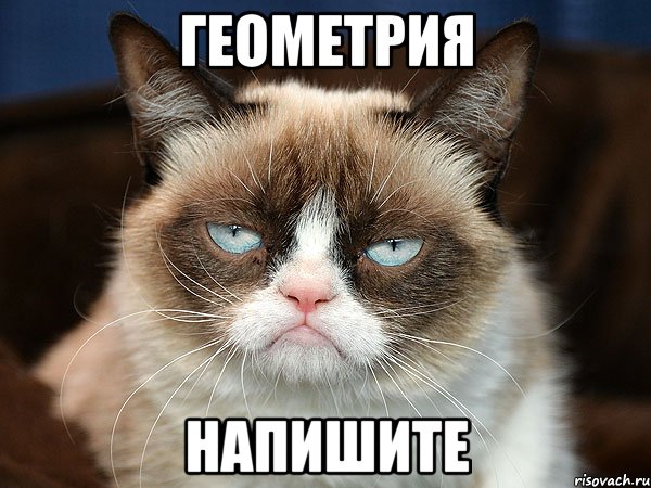 геометрия напишите, Мем  cat