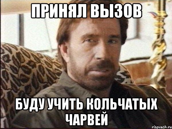 принял вызов буду учить кольчатых чарвей, Мем чак норрис